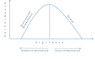 A Non-Intrusive System to Monitor Driver Vigilance