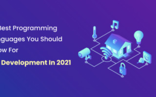 10 Programming Languages For IoT Development In 2021