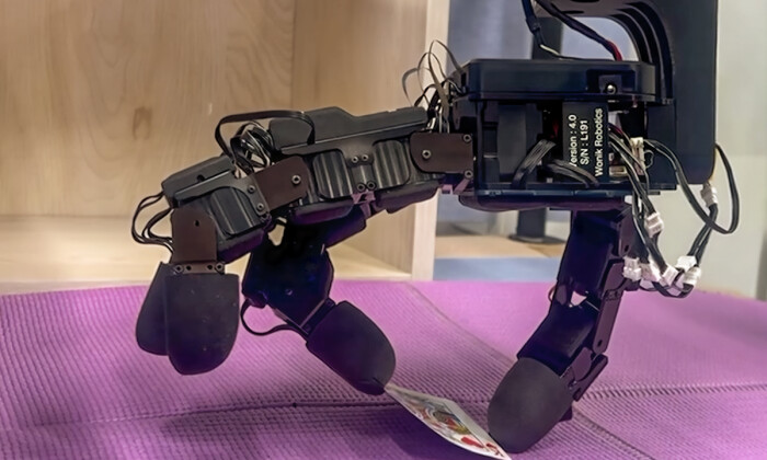 Image Credit: XELA Robotics